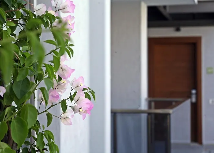 Queen Residences & Bodrum