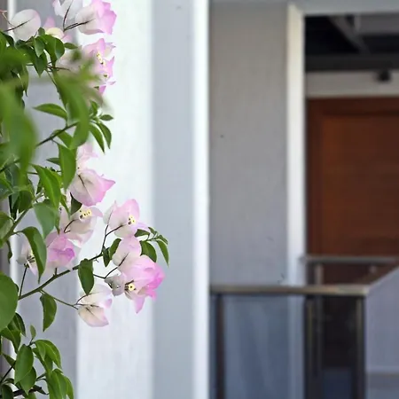 Queen Residences & Αλικαρνασσός